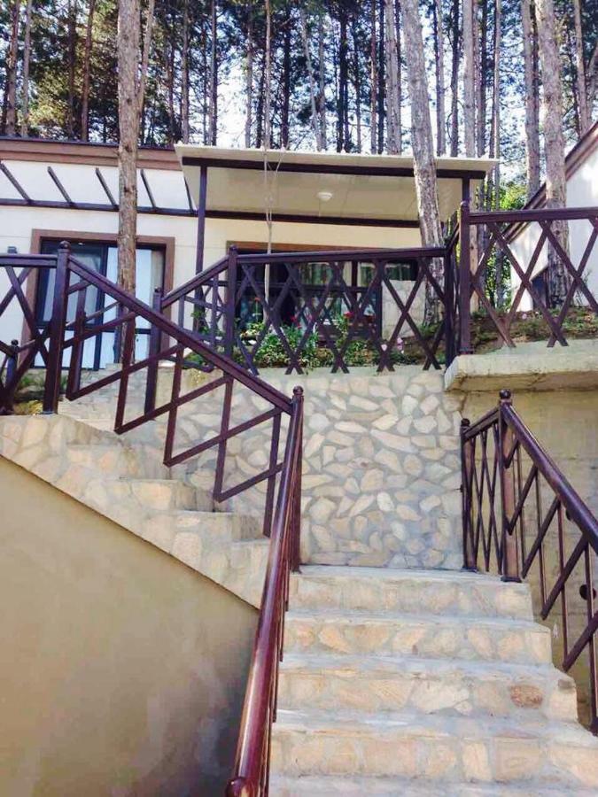 Dream View Hotel Byala  Exterior photo